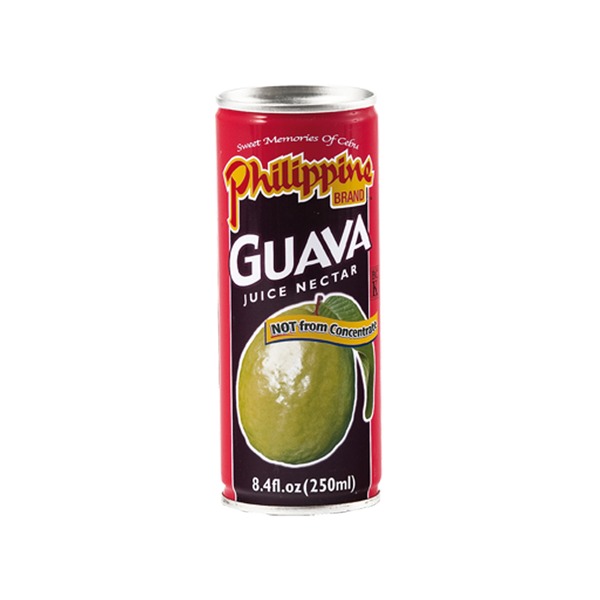Philippine Brand - Guavennektar 250ml